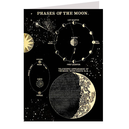 Phases of the Moon Card ~ England